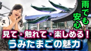 大分旅行 雨の日も子連れで楽しめる おすすめ観光スポット３選 まこぱぐ