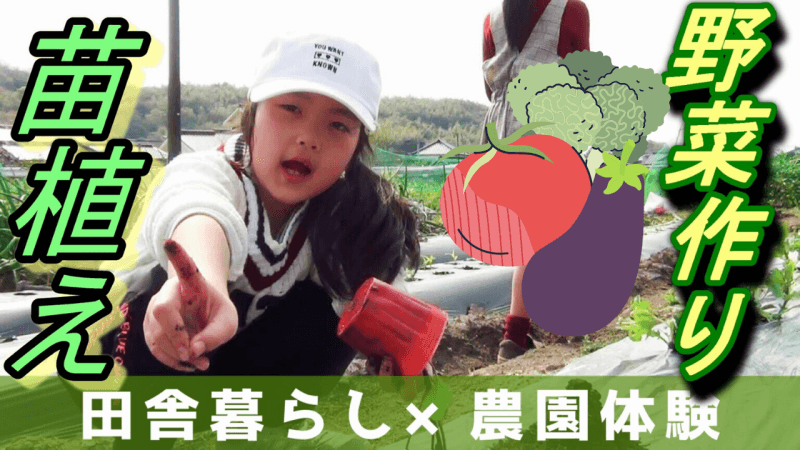 家庭菜園 夏野菜 トマト ナス の苗植え ブロッコリー収穫しました まこぱぐ