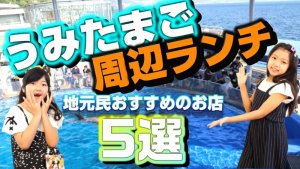 保存版 うみたまごの楽しみ方６選 所要時間から周辺ランチ 観光 おすすめホテルまで まこぱぐ